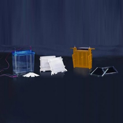 北京六一DYCZ-24F雙垂直電泳儀(大號(hào))蛋白電泳儀