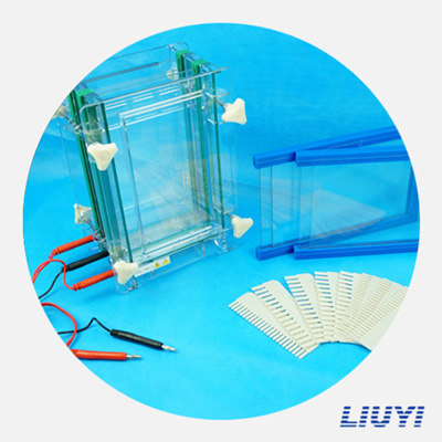 北京六一DYCZ-28D雙板夾芯式垂直電泳儀(大號(hào))蛋白電泳儀