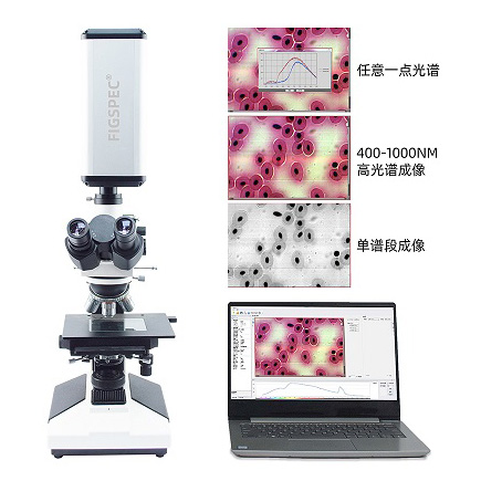 FigSpec?系列顯微高光譜成像系統(tǒng)