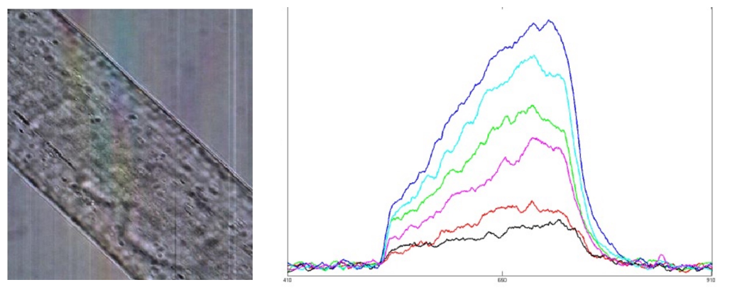 彩譜臺(tái)式分光測色儀CS-820N原理
